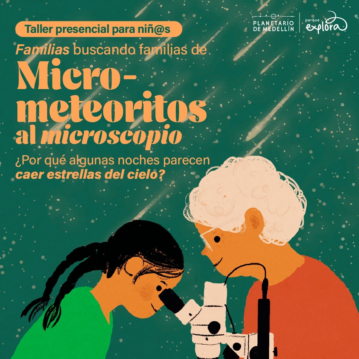 Imagen de galería