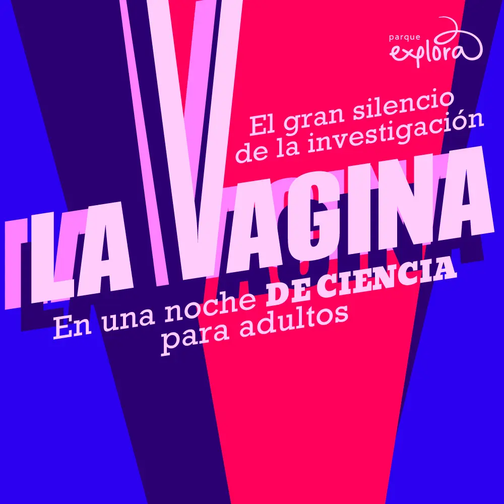 Imagen de galería