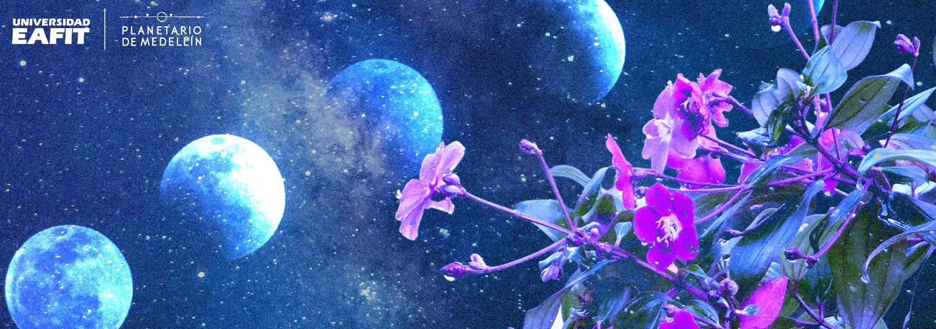 Club de Astronomía en el Oriente Antioqueño | Planetario de Medellín y Parque Explora