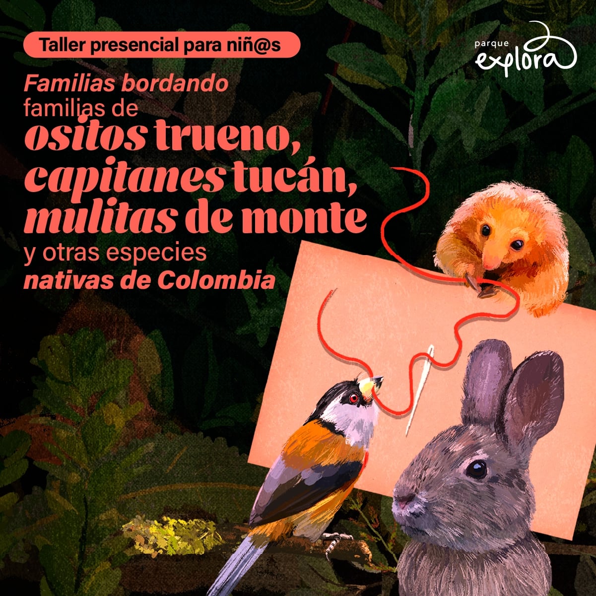 Imagen de galería