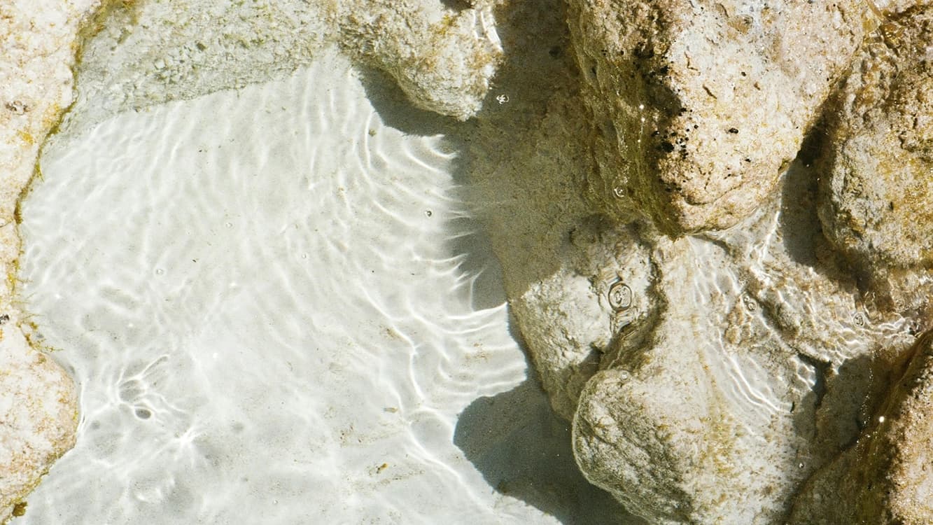 Fotografía. Vista cenital de un estanque poco profundo entre rocas. El agua transparente deja ver el fondo arenoso y varias piedras sumergidas. La luz produce reflejos ondulados sobre la superficie y las rocas, mientras pequeñas burbujas y partículas aparecen dispersas en el agua.