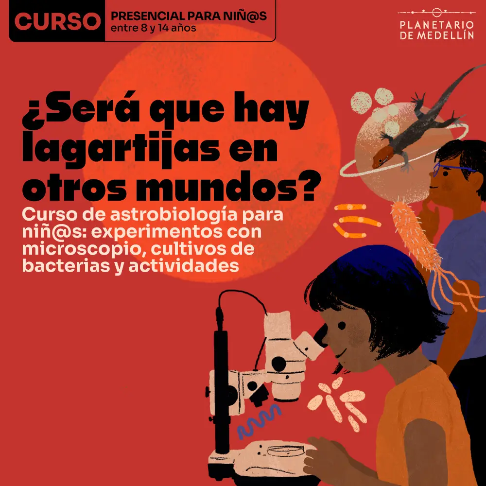 Imagen de galería